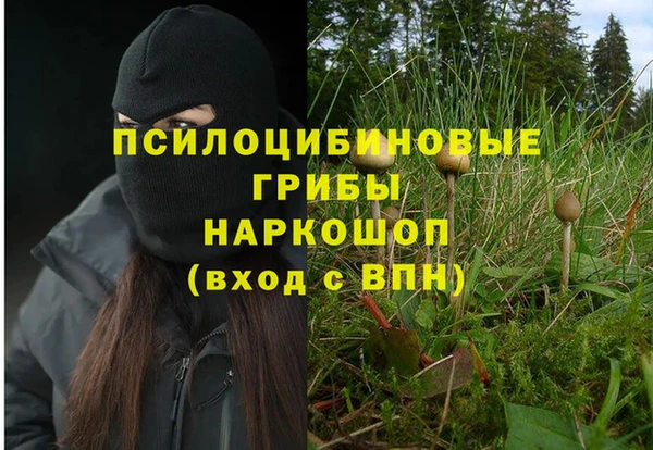 стафф Лабытнанги
