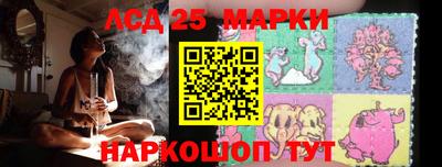 гидропоника Кингисепп