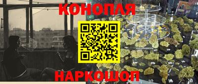 гидропоника Кингисепп