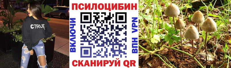 купить сайты Михайловск Галлюциногенные грибы GOLDEN TEACHER