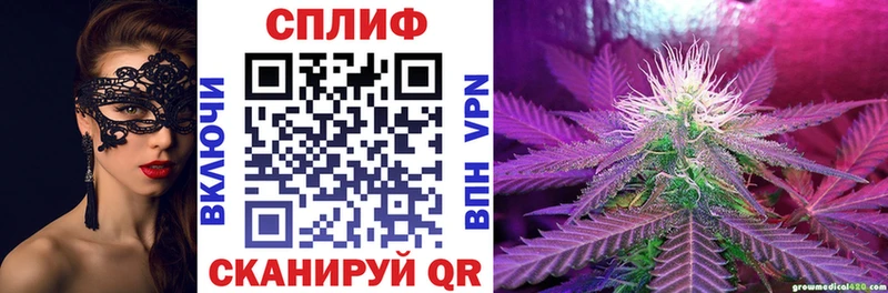 Каннабис план  купить наркотик  Михайловск 