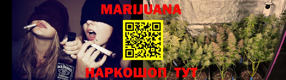 Шишки марихуана сатива  Конопля план  Вход с VPN  Бошки марихуана тримм  Михайловск 